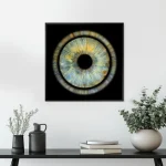 Single Iris - One Person - Image 6